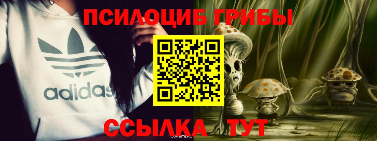 купить наркотики цена  Вход с VPN  Елец  Псилоцибиновые грибы Cubensis 